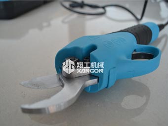 果樹修剪時，電動修枝剪助您一臂之力